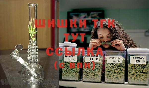 дживик Сатка