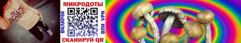 Купить закладки  Прокопьевск  Псилоцибиновые грибы MAGIC MUSHROOMS